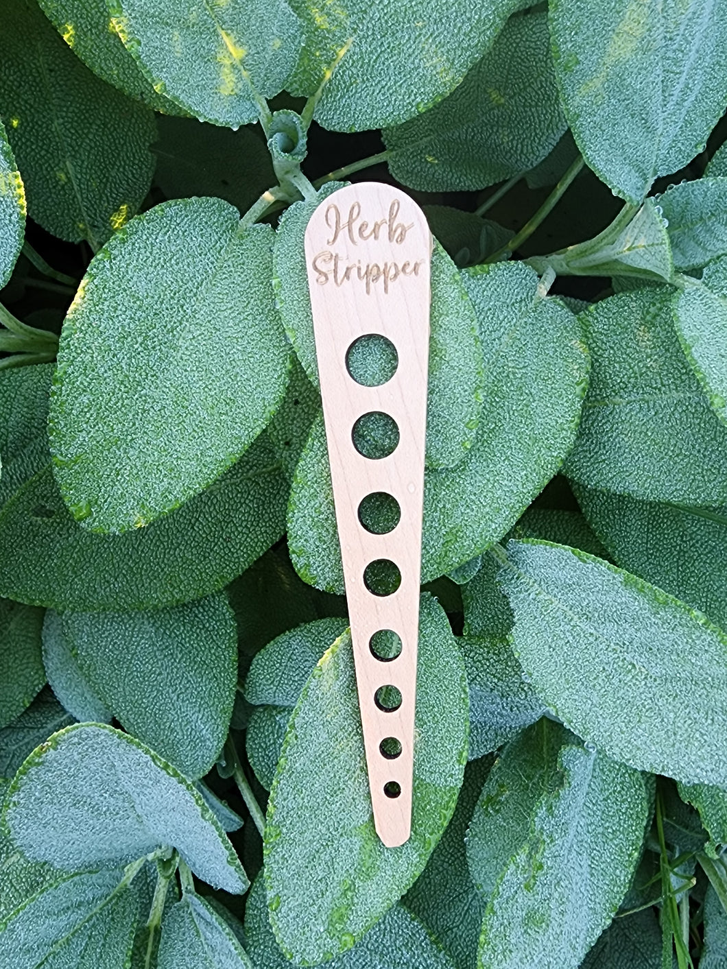 Herb Stripper, Wood