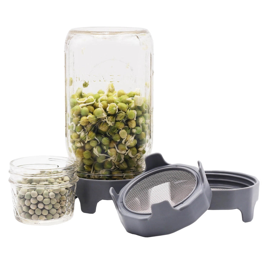 Sprouting Lid with Built-In Stand (widemouth)